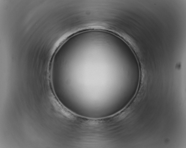X0000112521240200908241437