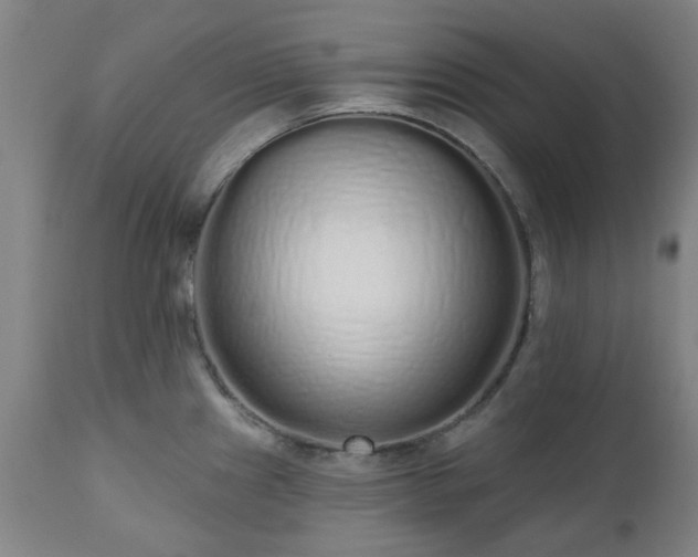 X0000112521241200908241437