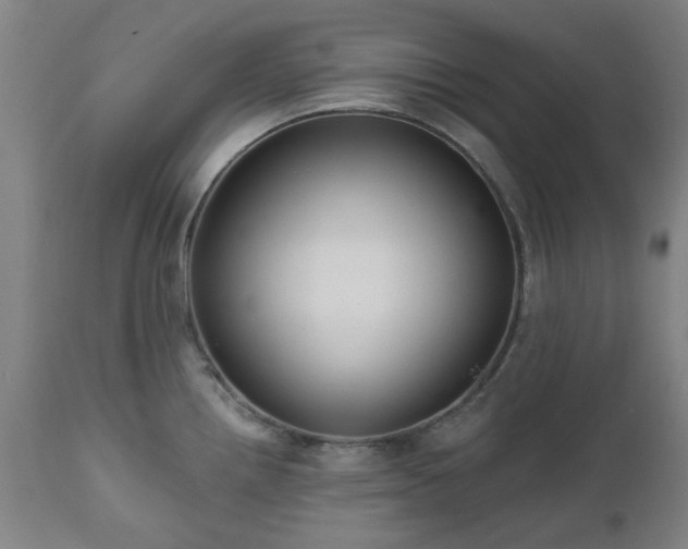 X0000112521242200908241437