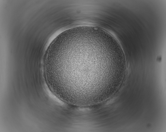 X0000112521243200908241437