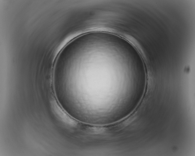 X0000112521244200908241437
