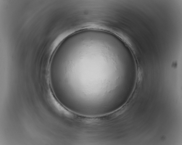 X0000112521247200908241437