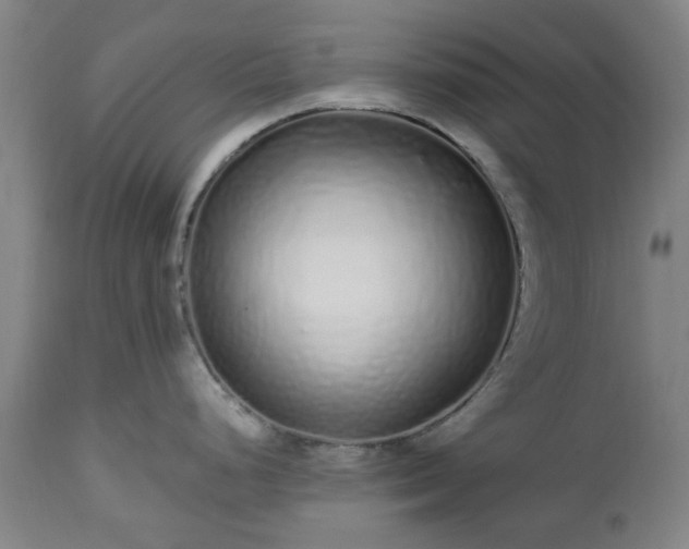 X0000112521248200908241437