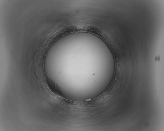 X0000112521249200908241436