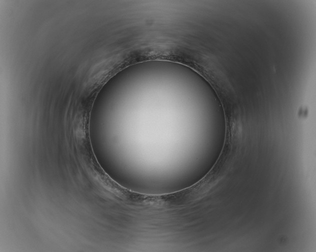 X0000112521250200908241436