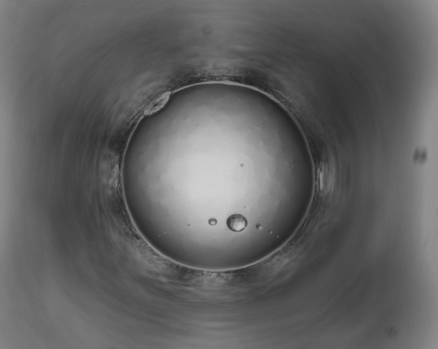 X0000112521251200908241436