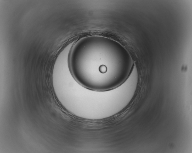 X0000112521252200908241436