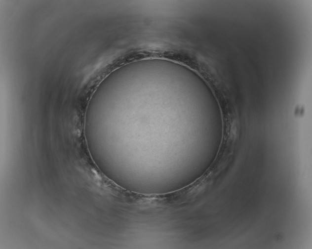 X0000112521253200908241436