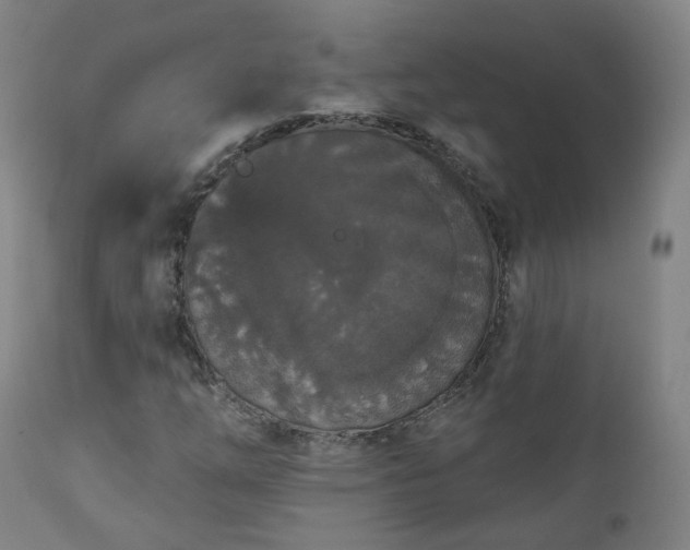 X0000112521254200908241436