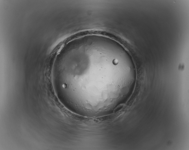 X0000112521255200908241436