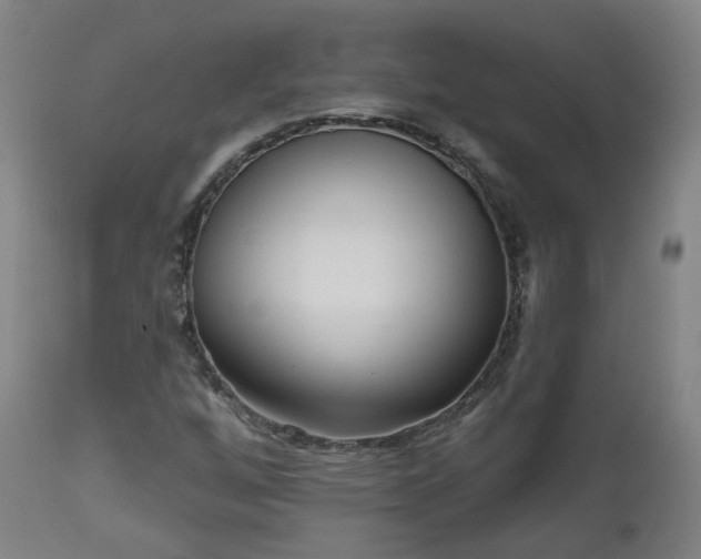 X0000112521256200908241436