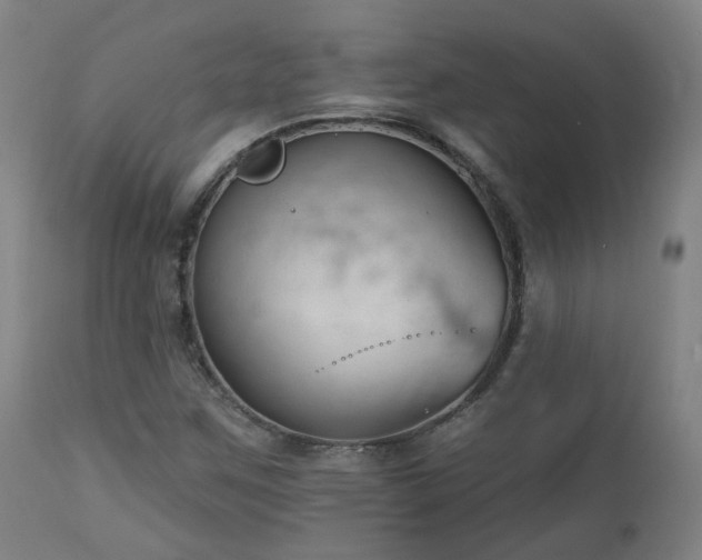 X0000112521259200908241436
