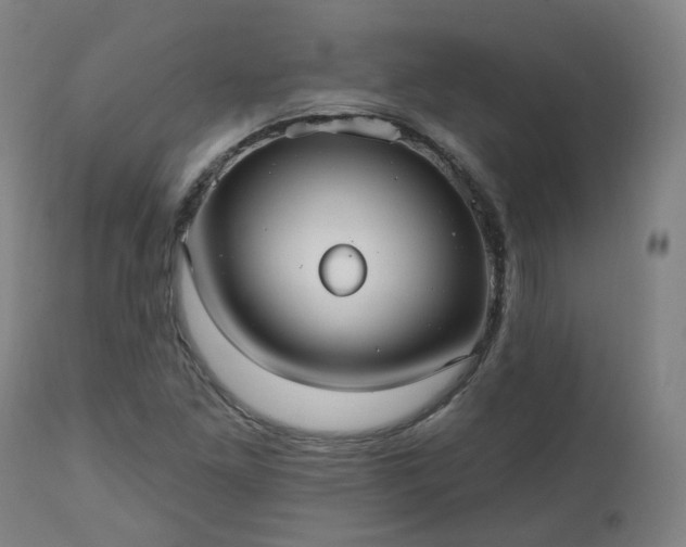 X0000112521261200908241436