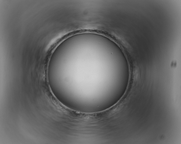 X0000112521262200908241436