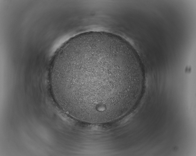 X0000112521263200908241436