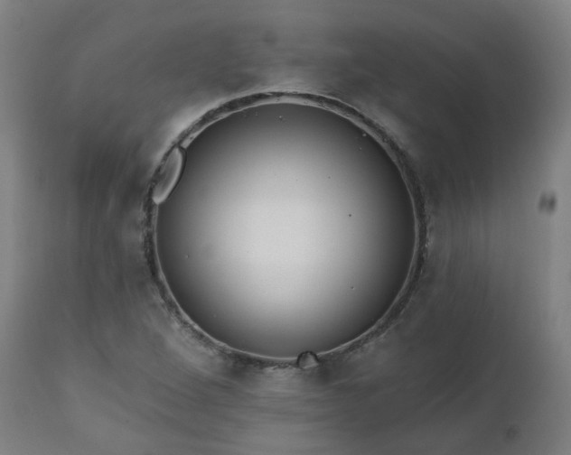 X0000112521264200908241436