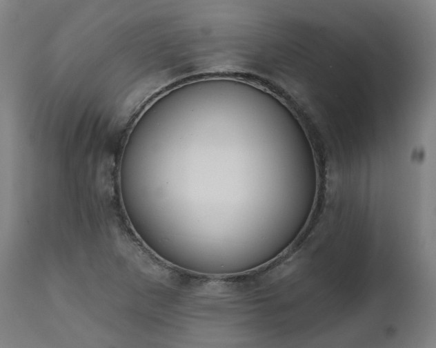 X0000112521265200908241436