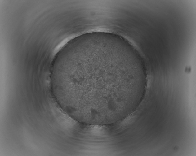 X0000112521266200908241436