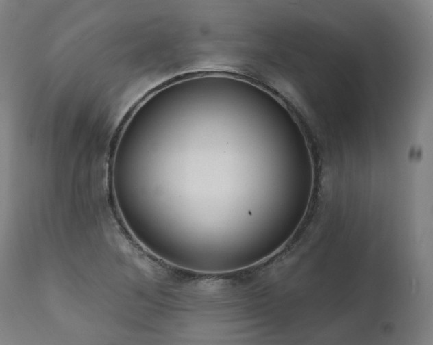 X0000112521268200908241436
