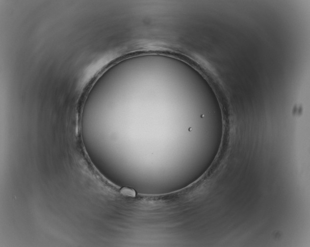 X0000112521269200908241436