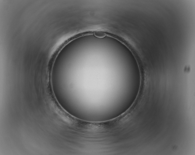 X0000112521270200908241436