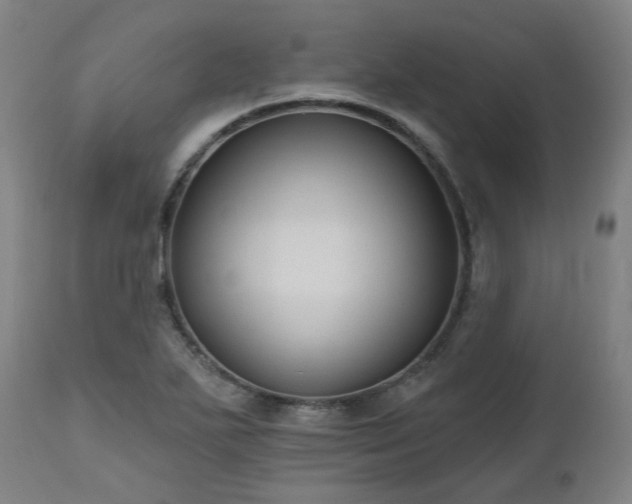 X0000112521271200908241436