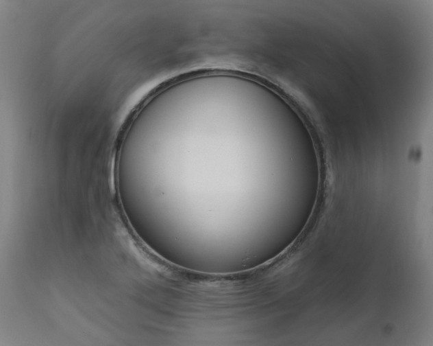 X0000112521272200908241436