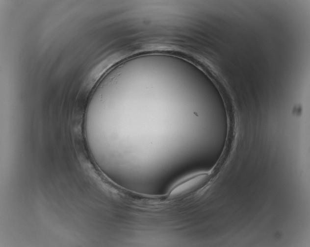 X0000112521273200908241436
