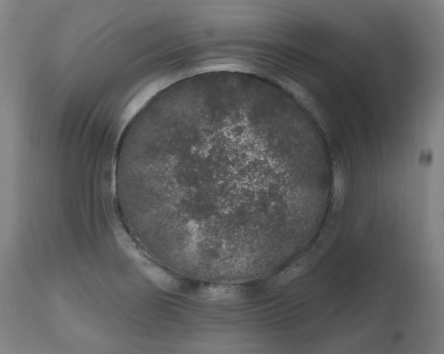 X0000112521274200908241436