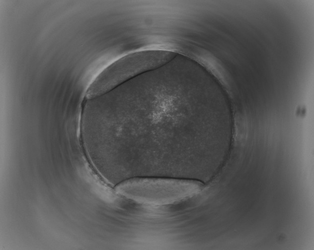 X0000112521276200908241436