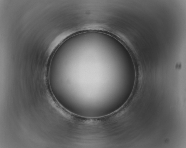 X0000112521277200908241436