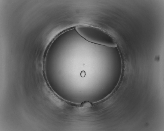 X0000112521280200908241436