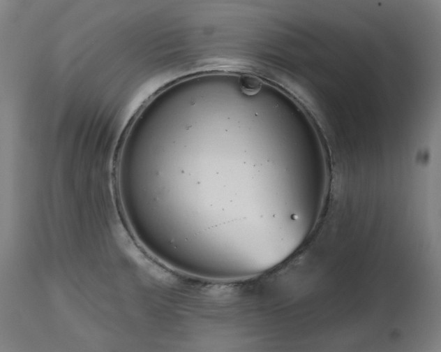 X0000112521283200908241436