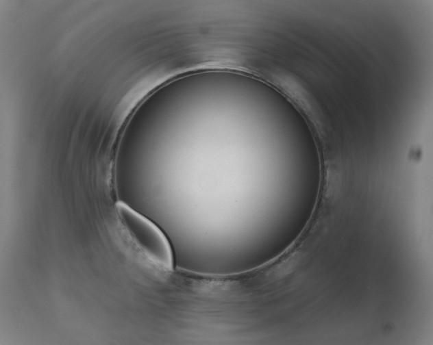 X0000112521284200908241436