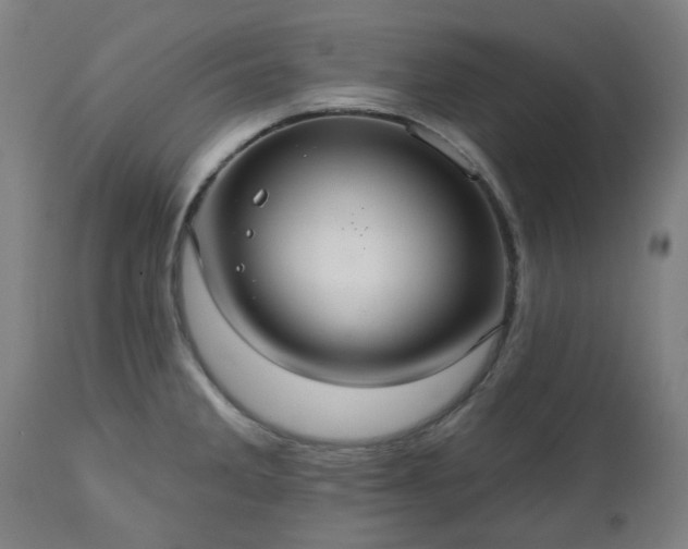 X0000112521285200908241436
