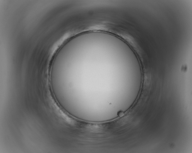 X0000112521286200908241436