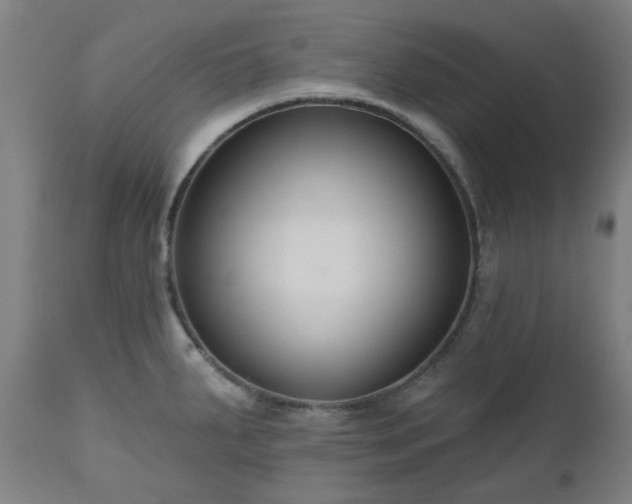 X0000112521287200908241436
