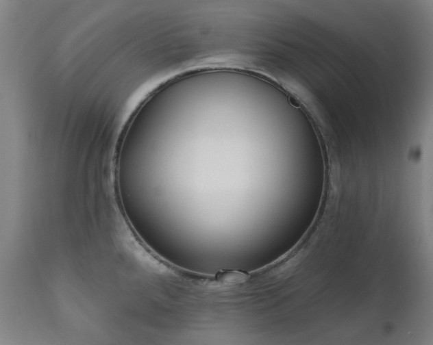 X0000112521288200908241436