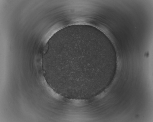 X0000112521289200908241435