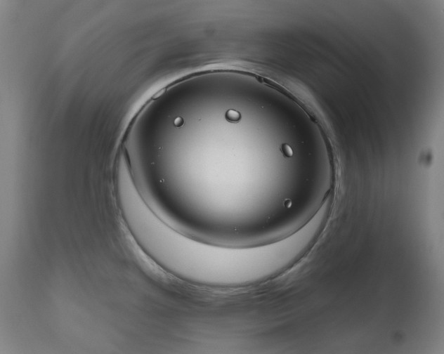 X0000112521292200908241435
