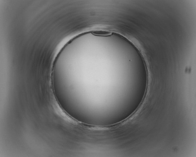 X0000112521296200908241435