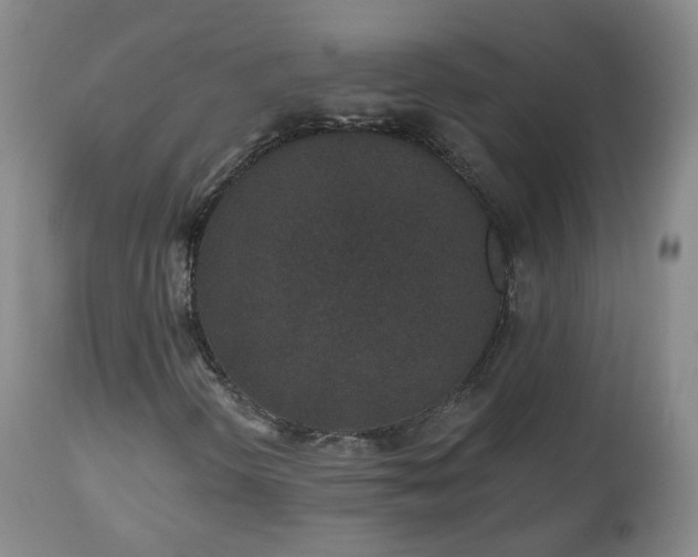 X0000112521298200908241435