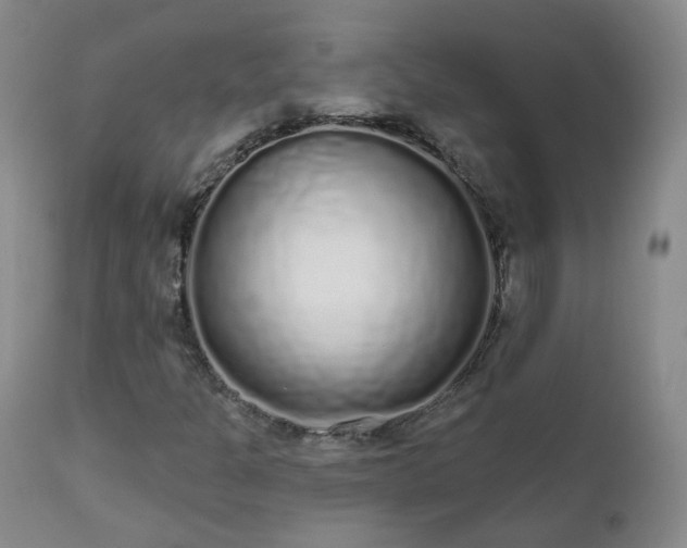 X0000112521301200908241435