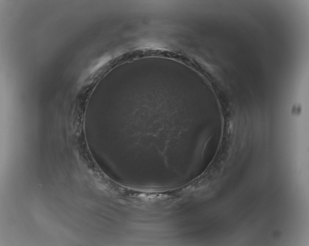 X0000112521303200908241435