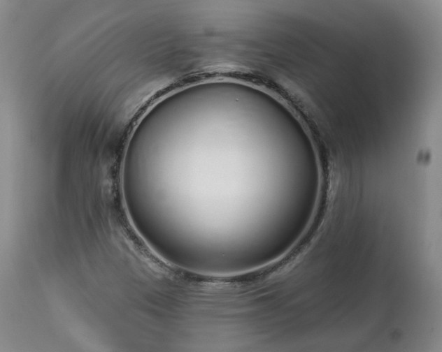X0000112521305200908241435