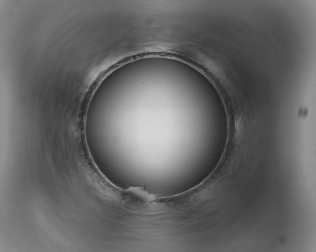 X0000112521308200908241435