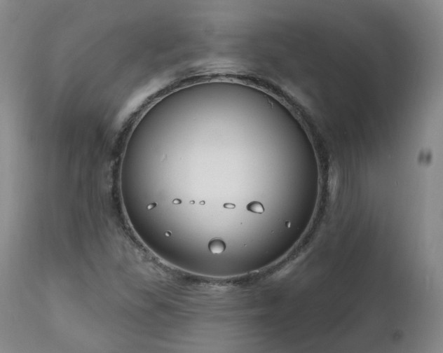 X0000112521309200908241435