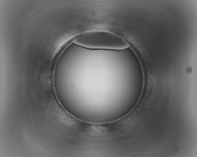 X0000112521312200908241435