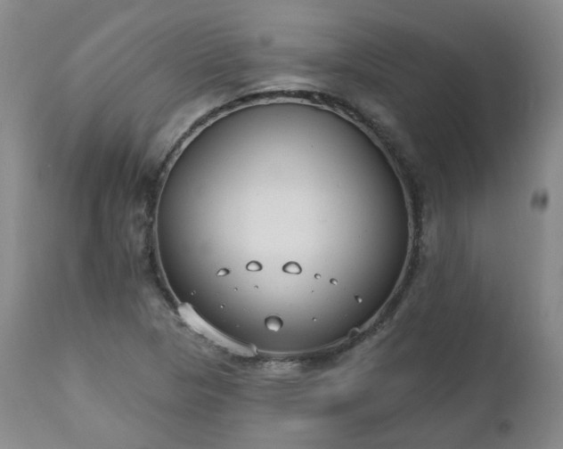 X0000112521313200908241435