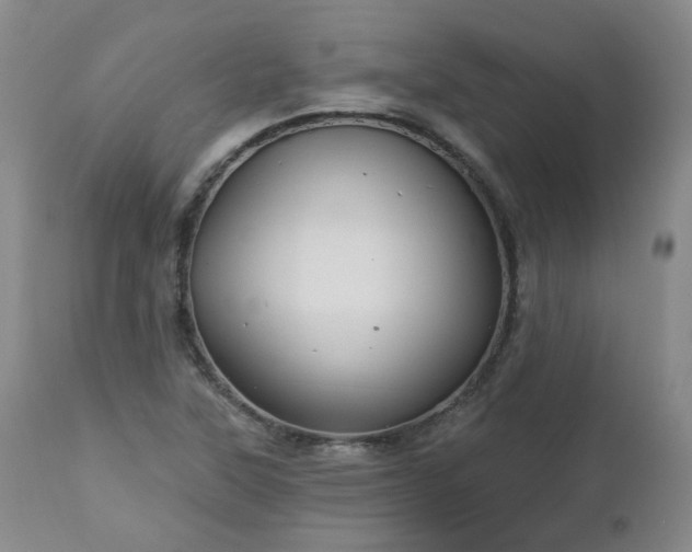 X0000112521315200908241435